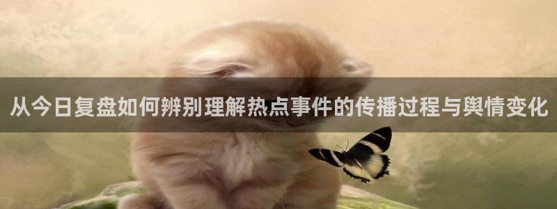 吃瓜不打烊