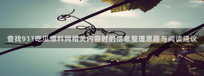 91吃瓜在线：查找911吃瓜爆料网相关内容时的信息整理思路与阅读建议
