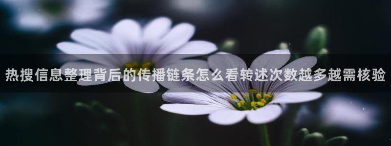 51黑料吃瓜网:热搜信息整理背后的传播链条怎么看转述次数越多越需核验