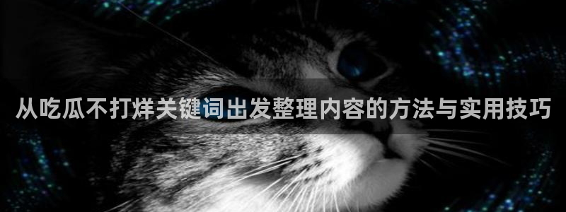 吃瓜吧：从吃瓜不打烊关键词出发整理内容的方法与实用技巧
