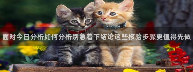17吃瓜：面对今日分析如何分析别急着下结论这些核验步骤更值得先做